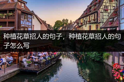 种植花草招人的句子，种植花草招人的句子怎么写