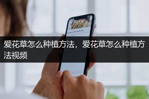 爱花草怎么种植方法，爱花草怎么种植方法视频