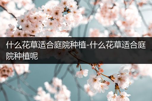 什么花草适合庭院种植-什么花草适合庭院种植呢