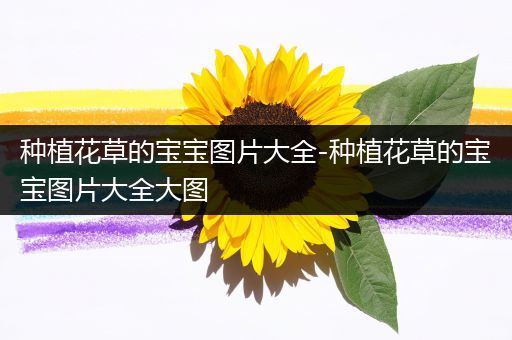 种植花草的宝宝图片大全-种植花草的宝宝图片大全大图