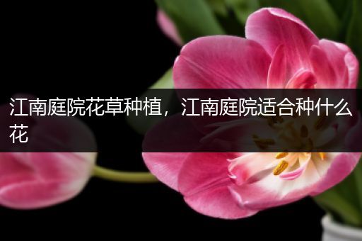 江南庭院花草种植，江南庭院适合种什么花