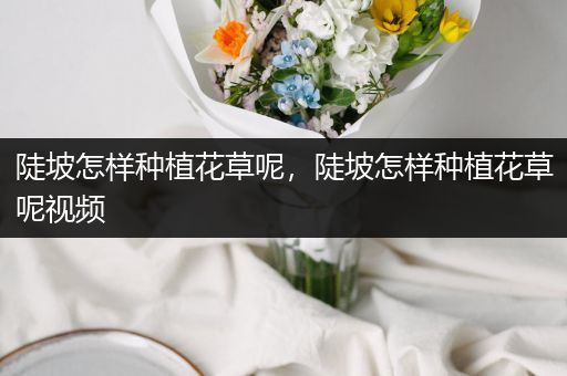 陡坡怎样种植花草呢，陡坡怎样种植花草呢视频