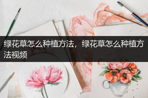 绿花草怎么种植方法，绿花草怎么种植方法视频