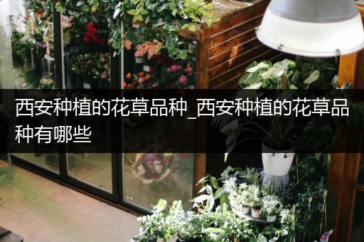 西安种植的花草品种_西安种植的花草品种有哪些