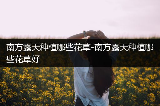 南方露天种植哪些花草-南方露天种植哪些花草好