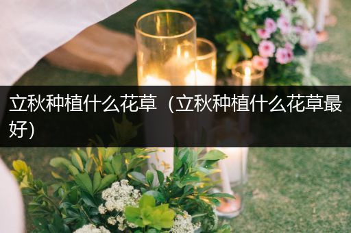 立秋种植什么花草（立秋种植什么花草最好）