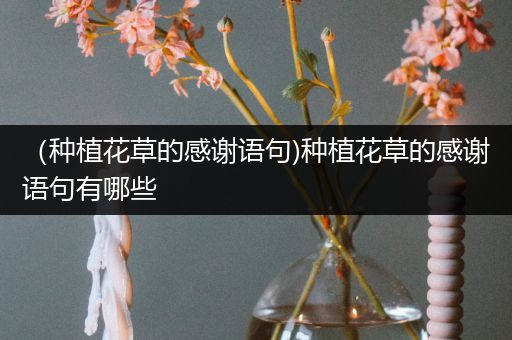 （种植花草的感谢语句)种植花草的感谢语句有哪些