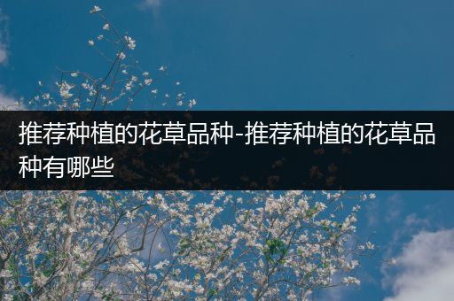 推荐种植的花草品种-推荐种植的花草品种有哪些