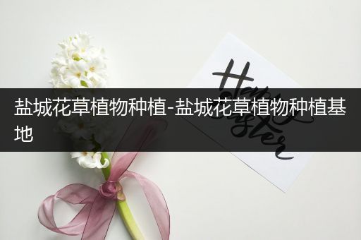 盐城花草植物种植-盐城花草植物种植基地
