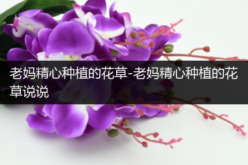 老妈精心种植的花草-老妈精心种植的花草说说