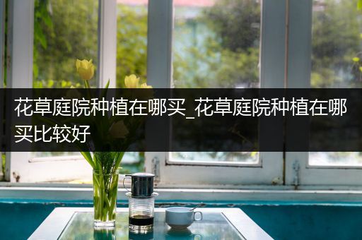 花草庭院种植在哪买_花草庭院种植在哪买比较好
