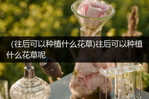 （往后可以种植什么花草)往后可以种植什么花草呢