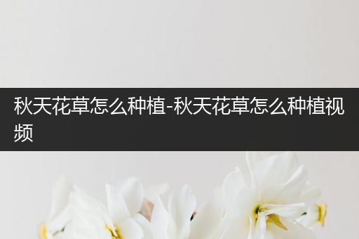 秋天花草怎么种植-秋天花草怎么种植视频