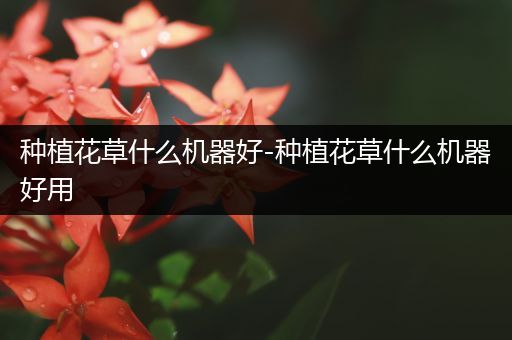 种植花草什么机器好-种植花草什么机器好用