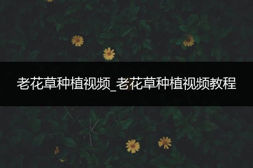 老花草种植视频_老花草种植视频教程