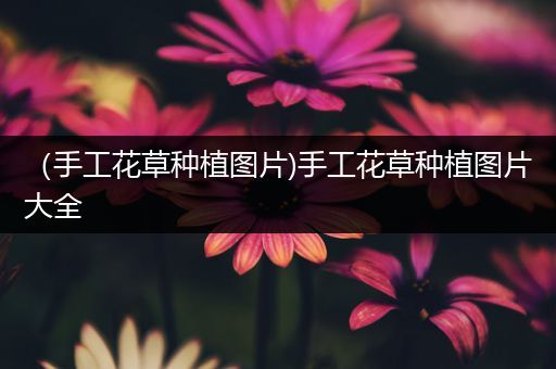 （手工花草种植图片)手工花草种植图片大全