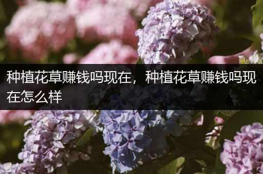 种植花草赚钱吗现在，种植花草赚钱吗现在怎么样
