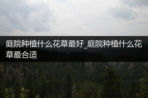 庭院种植什么花草最好_庭院种植什么花草最合适
