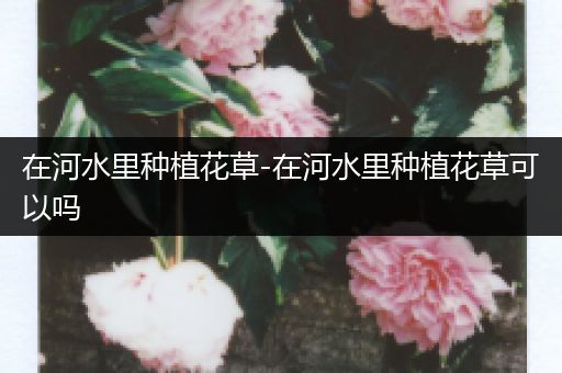 在河水里种植花草-在河水里种植花草可以吗