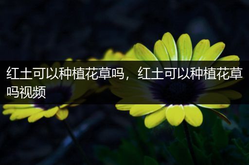 红土可以种植花草吗，红土可以种植花草吗视频