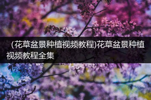 （花草盆景种植视频教程)花草盆景种植视频教程全集