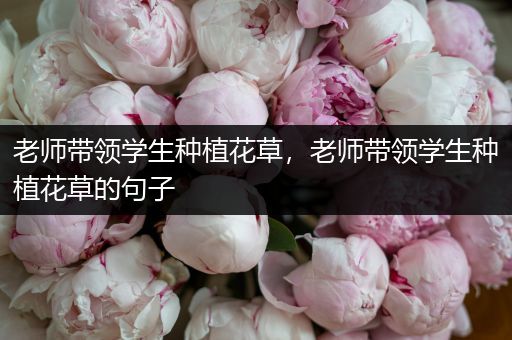 老师带领学生种植花草，老师带领学生种植花草的句子