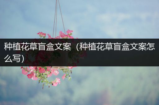 种植花草盲盒文案（种植花草盲盒文案怎么写）