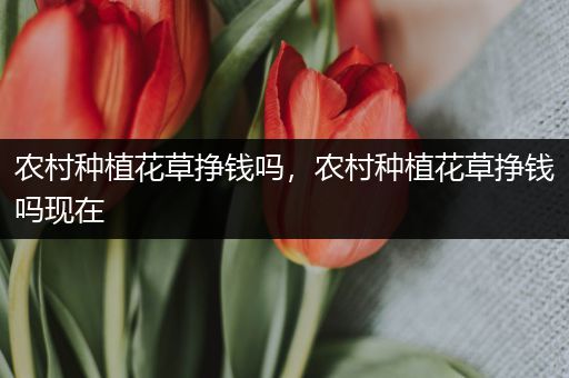农村种植花草挣钱吗，农村种植花草挣钱吗现在