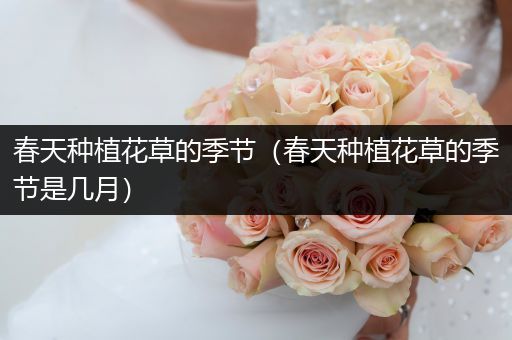 春天种植花草的季节（春天种植花草的季节是几月）