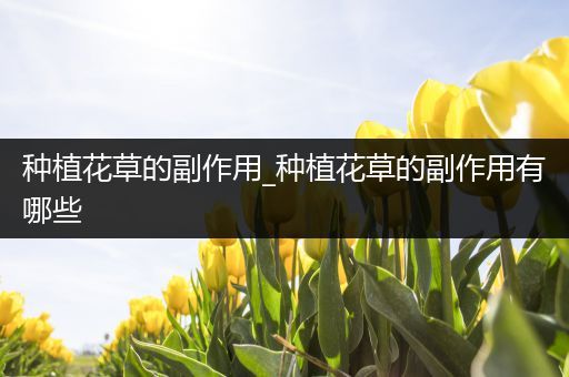种植花草的副作用_种植花草的副作用有哪些