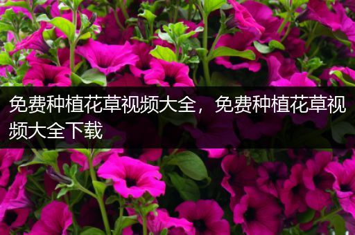 免费种植花草视频大全，免费种植花草视频大全下载