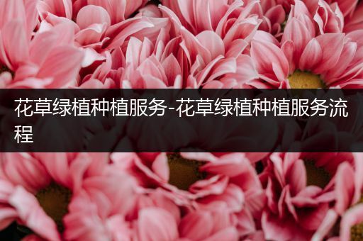花草绿植种植服务-花草绿植种植服务流程