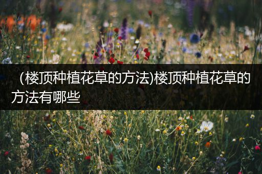 （楼顶种植花草的方法)楼顶种植花草的方法有哪些