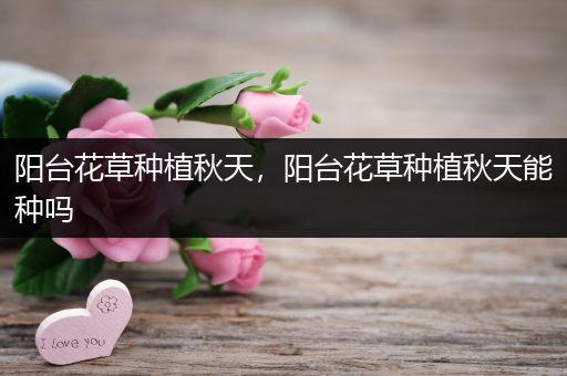 阳台花草种植秋天，阳台花草种植秋天能种吗