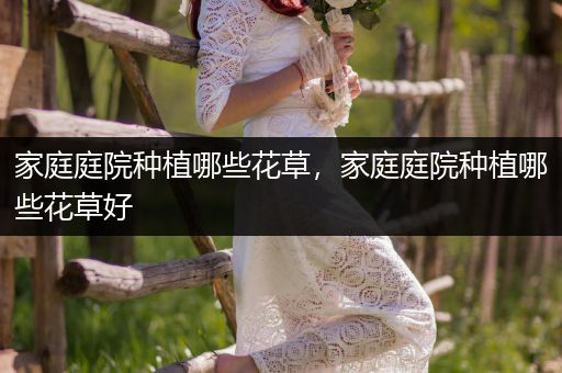 家庭庭院种植哪些花草，家庭庭院种植哪些花草好