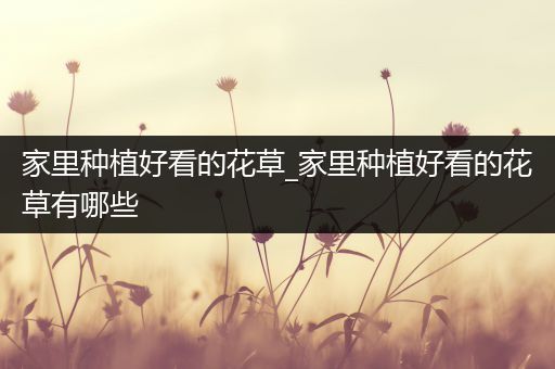 家里种植好看的花草_家里种植好看的花草有哪些