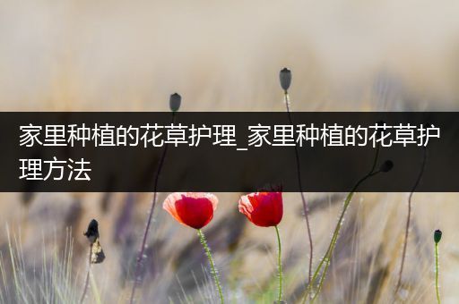 家里种植的花草护理_家里种植的花草护理方法