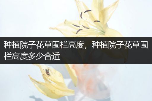 种植院子花草围栏高度，种植院子花草围栏高度多少合适