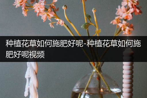 种植花草如何施肥好呢-种植花草如何施肥好呢视频