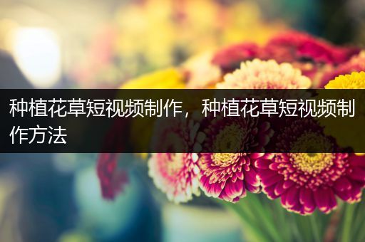 种植花草短视频制作，种植花草短视频制作方法