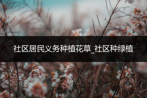 社区居民义务种植花草_社区种绿植