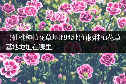 （仙桃种植花草基地地址)仙桃种植花草基地地址在哪里