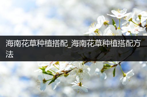 海南花草种植搭配_海南花草种植搭配方法