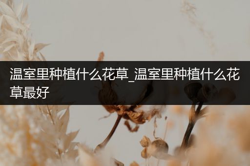 温室里种植什么花草_温室里种植什么花草最好