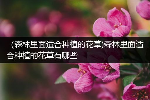 （森林里面适合种植的花草)森林里面适合种植的花草有哪些