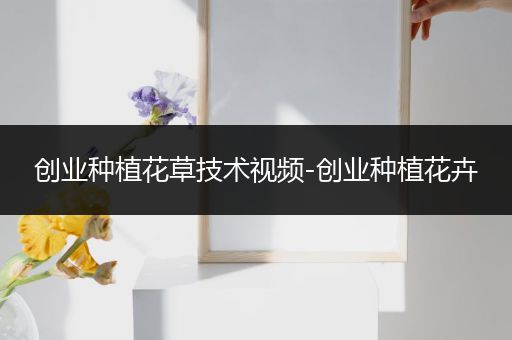 创业种植花草技术视频-创业种植花卉