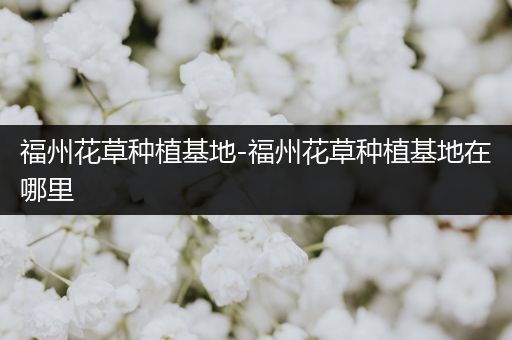福州花草种植基地-福州花草种植基地在哪里
