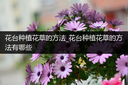 花台种植花草的方法_花台种植花草的方法有哪些