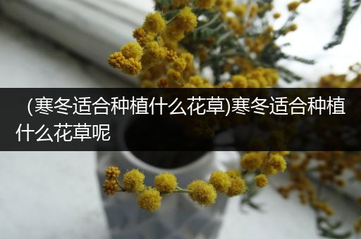（寒冬适合种植什么花草)寒冬适合种植什么花草呢