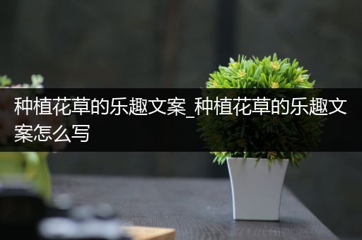 种植花草的乐趣文案_种植花草的乐趣文案怎么写